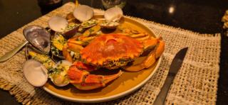 Luxury Lodge Costa Blanca - 1