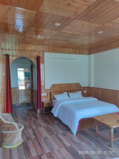 Paradise Evergreen - 0