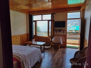 Paradise Evergreen - 8