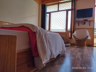 Paradise Evergreen - 6