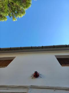 CA TERESINA l RELAX RURAL - 3