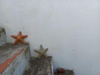 CA TERESINA l RELAX RURAL - 2