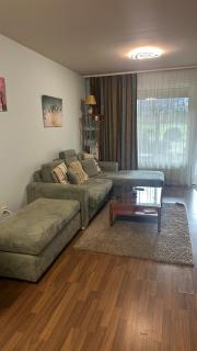 Eleonor Mountain Apartment 2 - 8