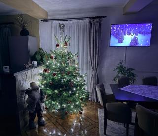 Vila Liniștea serii - 9