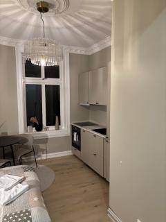 Newly Renovated Classic studio by Solli Plass - 5