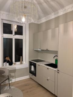 Newly Renovated Classic studio by Solli Plass - 2