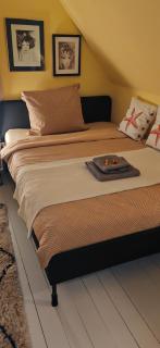 Ferienhaus Villa Zauberblick am Rennsteig Frankenwald - 5