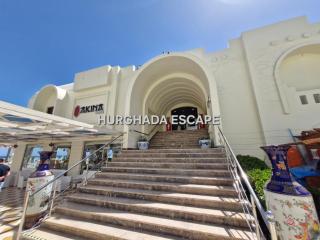 Gravity Sahl Hasheesh Not Egyptian - 3