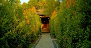 Luxury Sky Group Studio Apartment with Free Gym & 2 Pools - 2