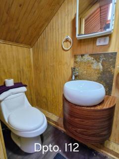 Wildepartamentos Valdivia ER - 7