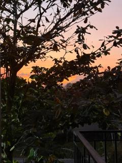 T-homestay Bình minh xanh - 4