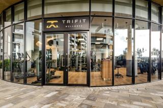 4413 At Ellipse Waterfall - 6