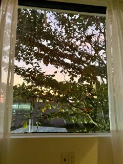 T-homestay Bình minh xanh - 5