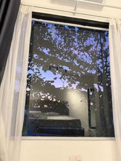 T-homestay Bình minh xanh - 9