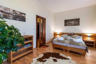 Vila Araya Mlynica - 2