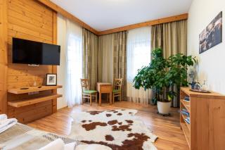 Vila Araya Mlynica - 1