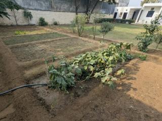 Nature Farm Stay with Lawn & Bonfire Near Dwarka Expy - 7