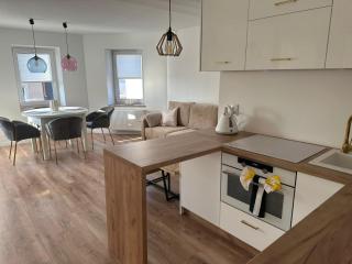 Apartament przyjazny pod Dzikowcem - 6