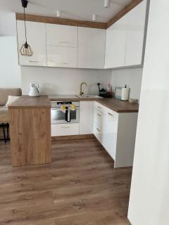 Apartament przyjazny pod Dzikowcem - 4