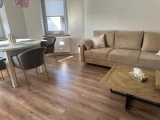 Apartament przyjazny pod Dzikowcem - 9