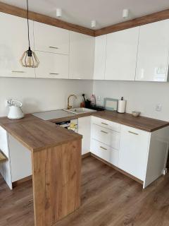 Apartament przyjazny pod Dzikowcem - 3