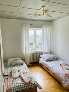 Fantastically beautiful old building apartment with lake view - 8