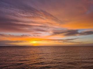 Au petit coin de Tahiti - 4