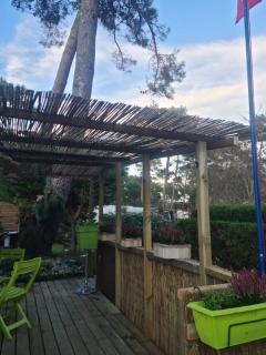 Au petit coin de Tahiti - 1