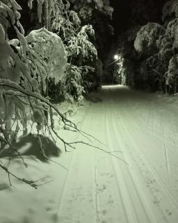 A terraced house by the river! - 9