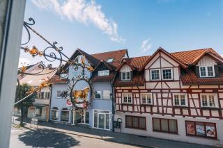 Hotel Zum Goldenen Ochsen - 7