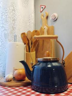 Kuća za odmor u Banatu - 1