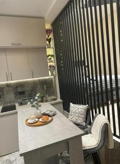 ELLA LUX APARTMAN Čačak - 7