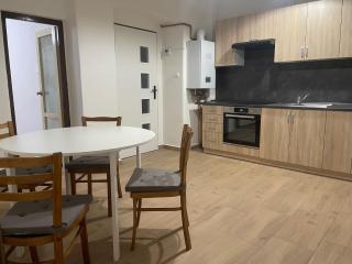 Byt v okolí Okoře, nedaleko Prahy a letiště - 3