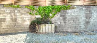 Unterkunft4You Ferienhaus Zum Burgfried - Usingen - 7