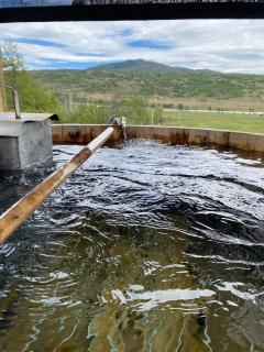 Cabaña Mirador del águila - 4