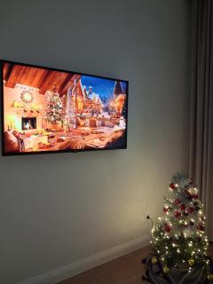 New Arena City View Apartment - 8