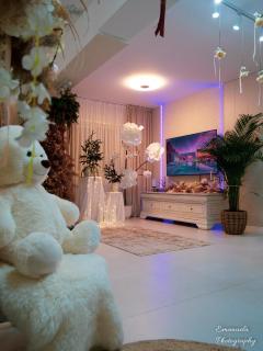 Penthouse View Aeroport Iasi 2 - 9