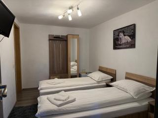 Casa Lupilor Transfăgărășan - 4