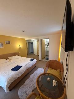 Restaurant & Pension Yammas - Großpostwitz - 0