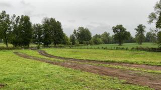 Antu relajo y natura - 9