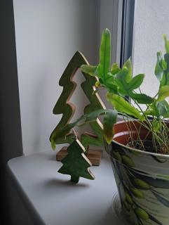 Apartamenty Okrętowa 23 Bolek Lolek - 6