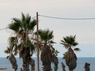 Dream on the beach - 5