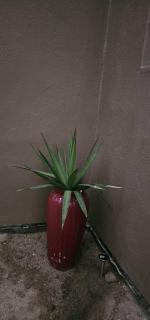 Tasha Coastal Accommodation - 7