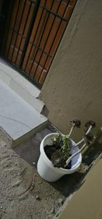 Tasha Coastal Accommodation - 3