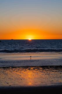 Peaceful home in Santa Monica beach city - 9