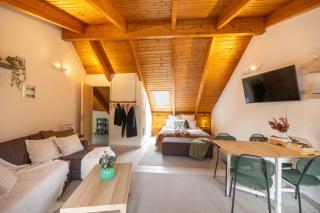 Rokani Sofita II - 1