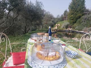 L'Aquila e L'Ulivo - 9