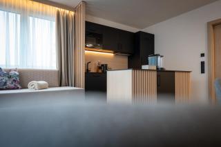 FRANZ alpine living - Apartments - 1