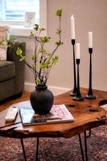 Southie 3BD 1BA near Seaport and Convention Center BECE - 1