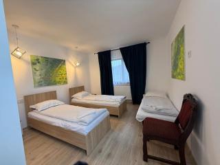 Pensiunea Merele de Aur - 2